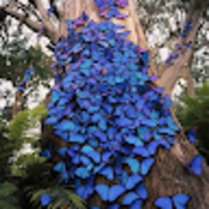 Meet your Posher, Debbie jo